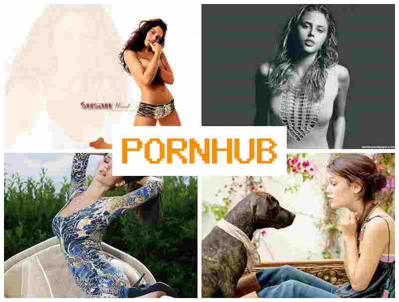 POFN HUB 💙 Amateur Webcam Solo Anal