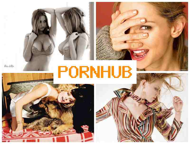 PORN H6B 💻 Webcam B PORN H6B 💻 Webcam B