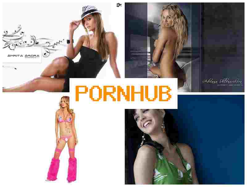 PO5NHUB 🔷 Horse Dildo, Webcam, Anal