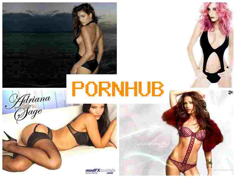 PORNH6B 🆒 Webcam Reactions Porn